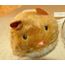 Kattleksak Hamster uppdragningsbar