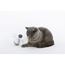 Kattleksak Companion Electronic Cat motion